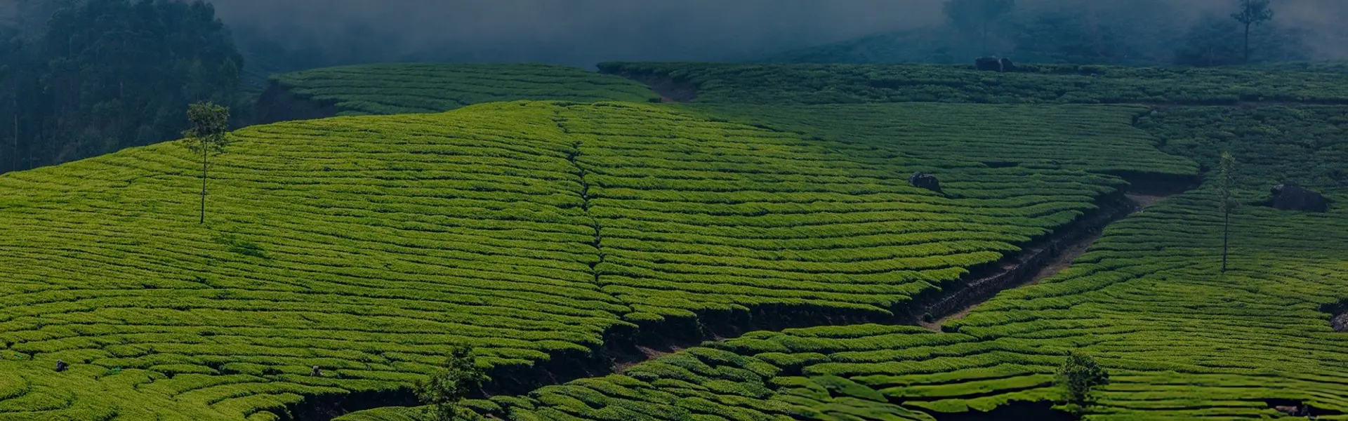 South India holiday destination